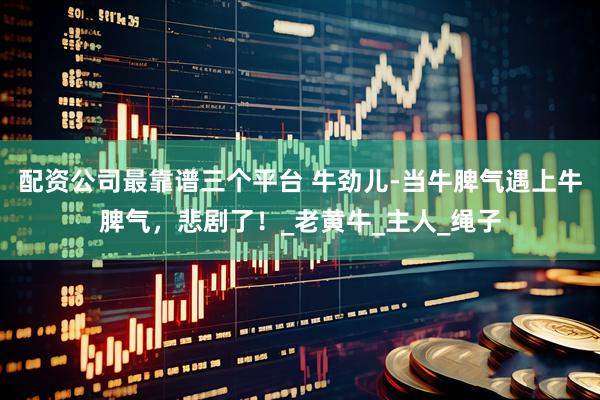配资公司最靠谱三个平台 牛劲儿-当牛脾气遇上牛脾气，悲剧了！_老黄牛_主人_绳子